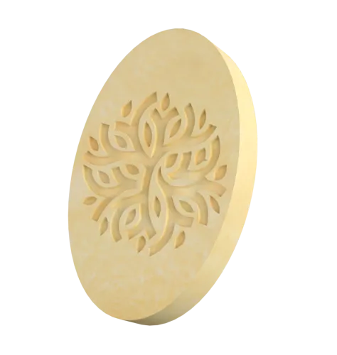 Cream-Soap Ganoderma and Black Cumin